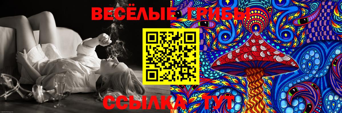 Галлюциногенные грибы Magic Shrooms  Вход с VPN  купить наркотики цена  Корсаков  Галлюциногенные грибы мицелий 