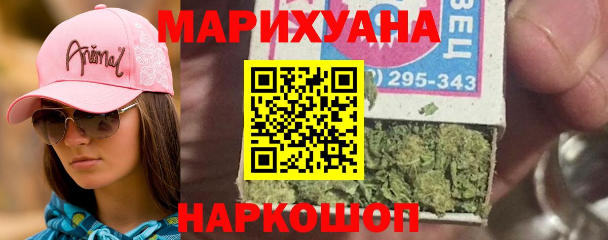 Конопля планчик  Вход с VPN  Корсаков  Бошки Шишки MAZAR  Бошки Шишки семена 